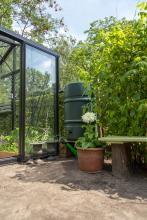 tuin