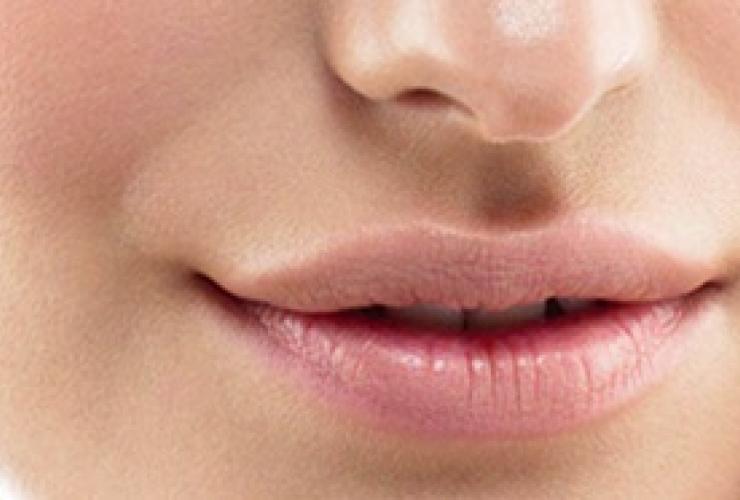 Waarom zit er een gootje onder je neus? Waarom zit er een gootje onder je neus?