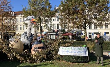 Zaterdag kon Ringa maar één ei uitbroeden. Uit Ei Noord kwam kuikentje Noortje. © vja/ringland