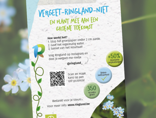 Vergeet-Ringland-nietjes.