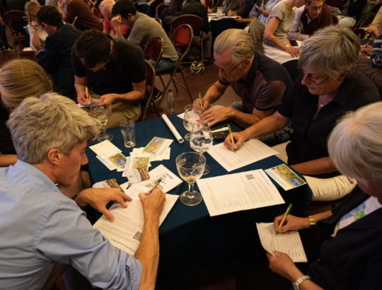 Op de Roma-avond gingen deelnemers vlot met elkaar in overleg over de stand van zaken. Op de Roma-avond gingen deelnemers vlot met elkaar in overleg over de stand van zaken.