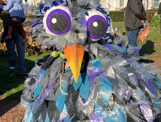 Kuikentje Noortje. © vja/ringland