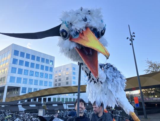 Ringa zoekt aan Berchem-station een plekje voor haar nest. © ringland 
