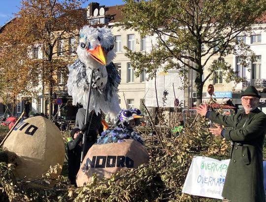 Uit Ei Noord komt kuikentje Noortje. © vja/ringland