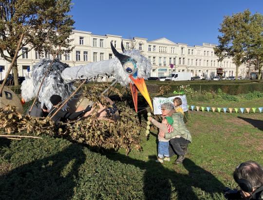 Ringa krijgt graag insecten om Noortje te voederen.  © vja/ringland