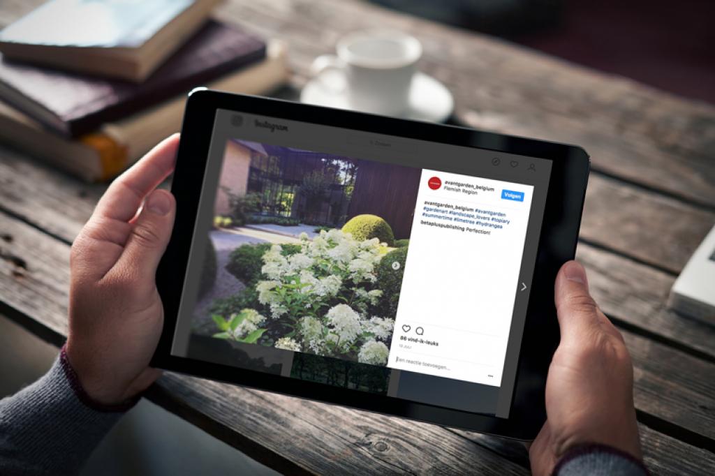 Avantgarden User Tablet