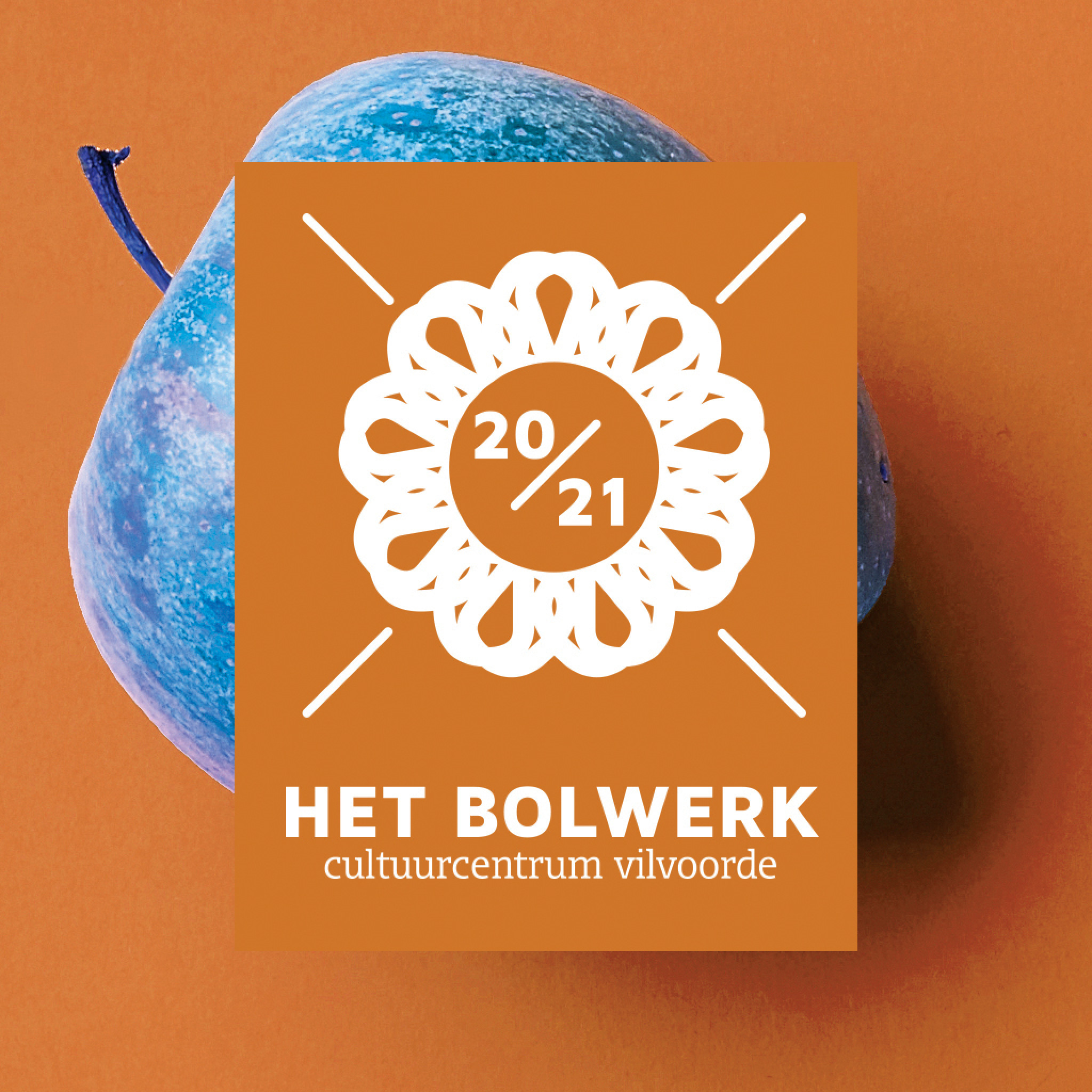 Instagram cc het Bolwerk
