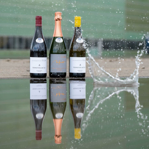 Nonnenkeller Spätburgunder Eiswein　2008 weingut_bottler_eiswein_gold-